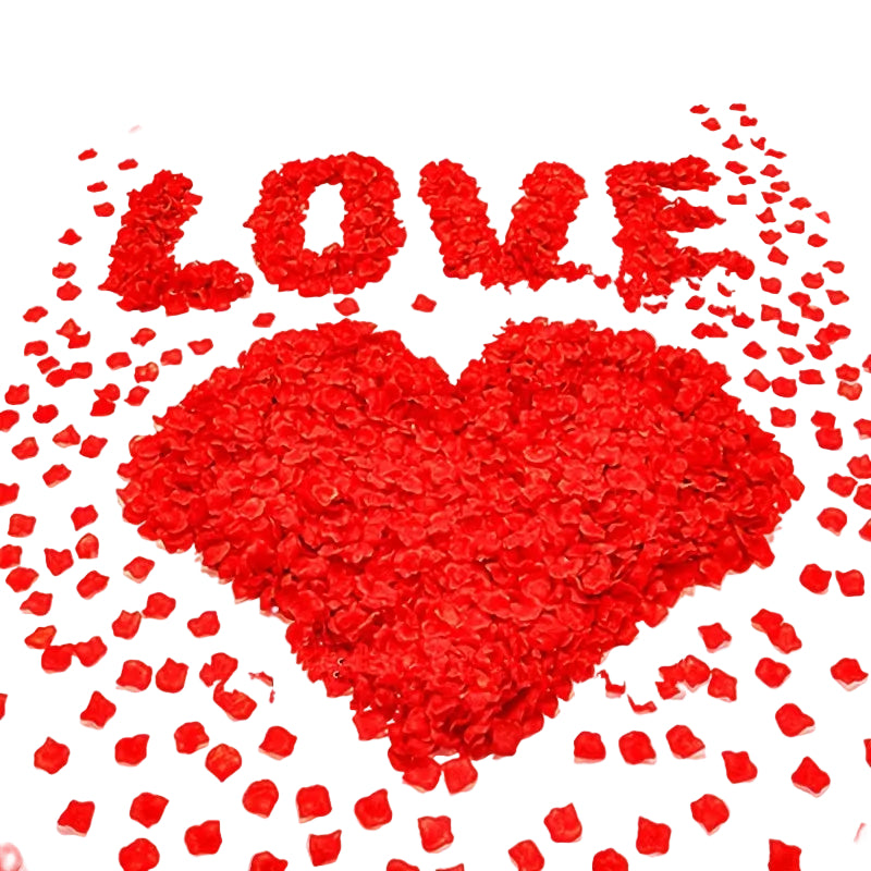 Röda Rosblad 1200st – Perfekt för Romantik & Alla Hjärtans Dag