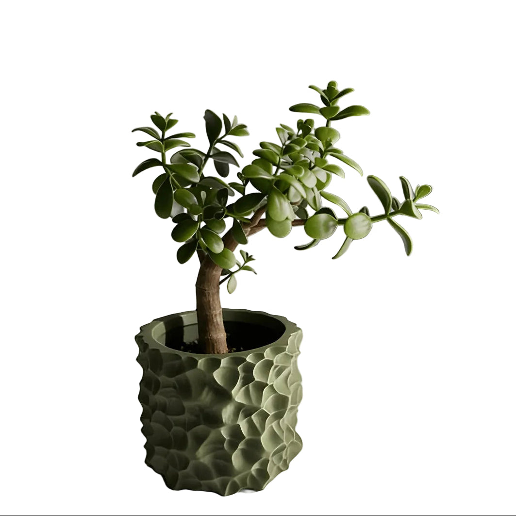 Blomkruka med Vågig Textur