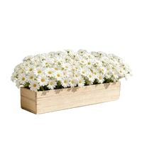 Konstgjorda Prästkragar 90 blommor